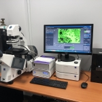 Fluorescence_Microscopy